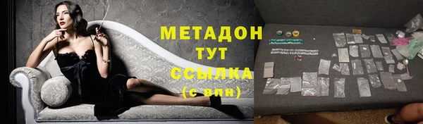 прущие грибы Михайлов