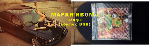 прущие грибы Михайлов