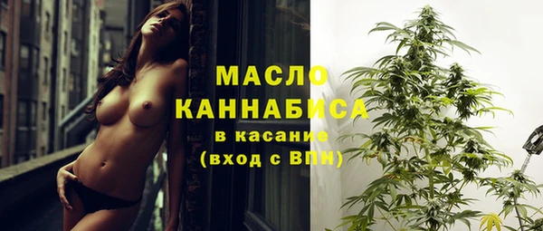 прущие грибы Михайлов