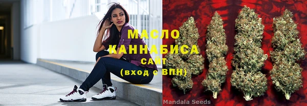 прущие грибы Михайлов